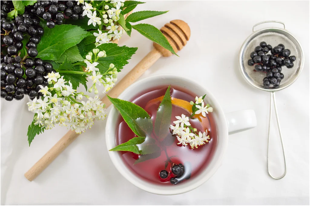 elderberry tea with leaves and flowers