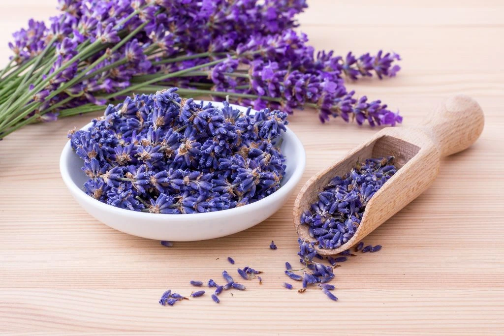 fresh lavender in a bowl