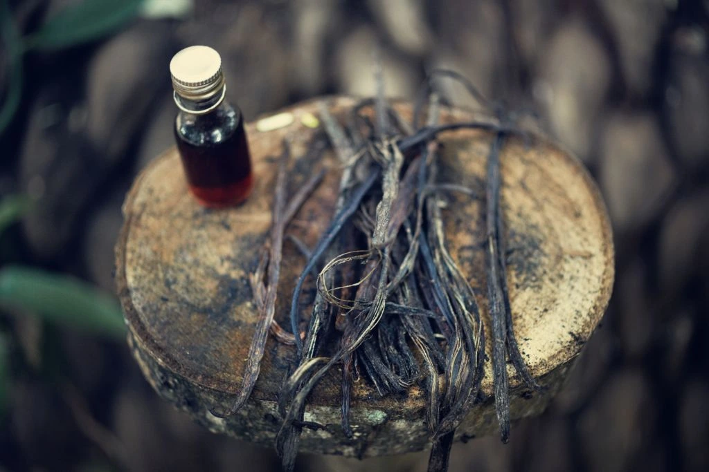 a bottle of vanilla extract and dried vanilla pods on a wood stump