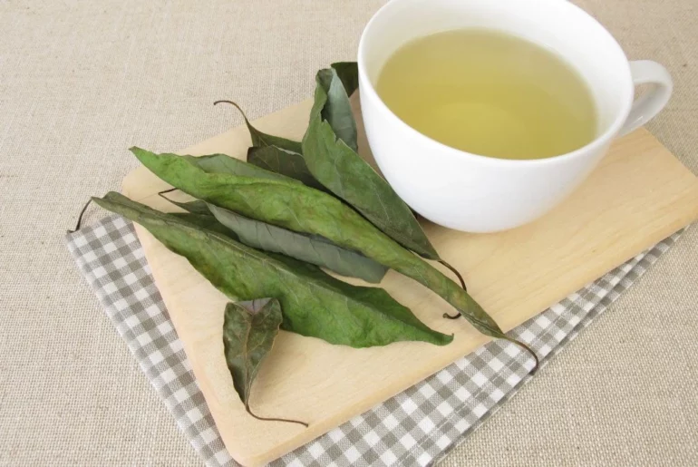 A Cup of avocado leaf tea with dried avocado leaves