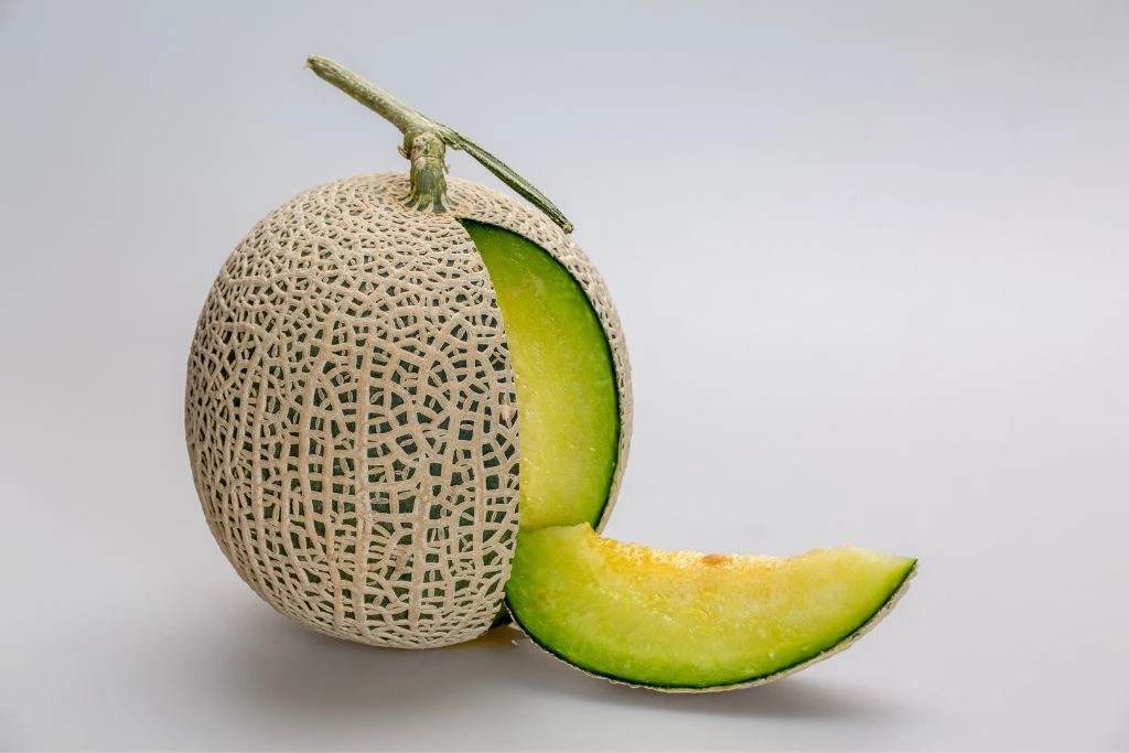 honeydew melon on a greyish background
