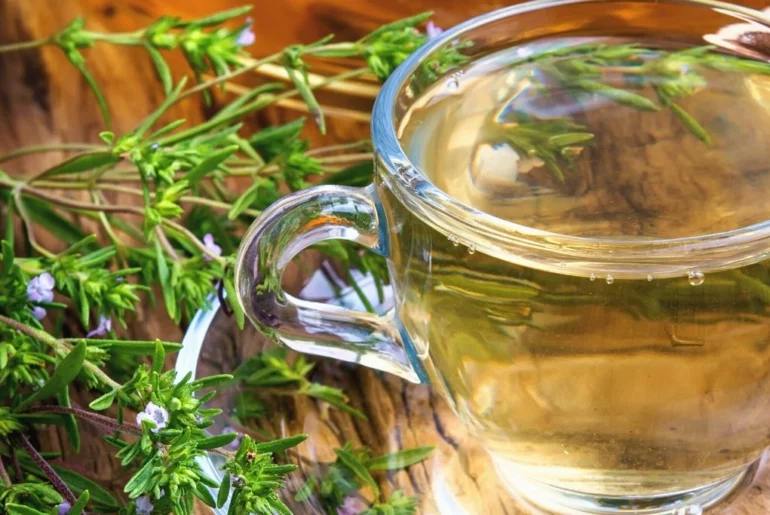 Oregano Tea in a glass cup with oregano leaves around