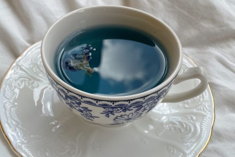 butterfly pea tea in a cup