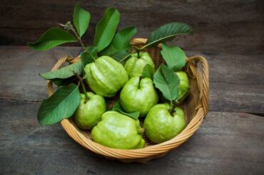 bowl of guava fruits and leaves