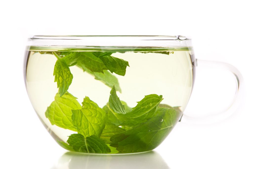 peppermint leaves on tea cup with water