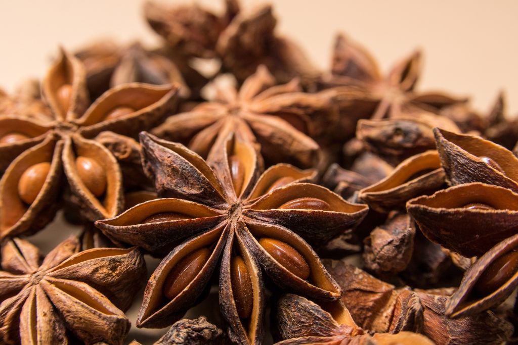 close up shot of dried star anise