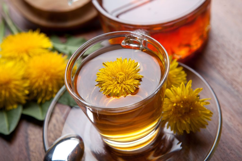 a cup of dandelion root tea with fresh yellow blossom inside a tea cup